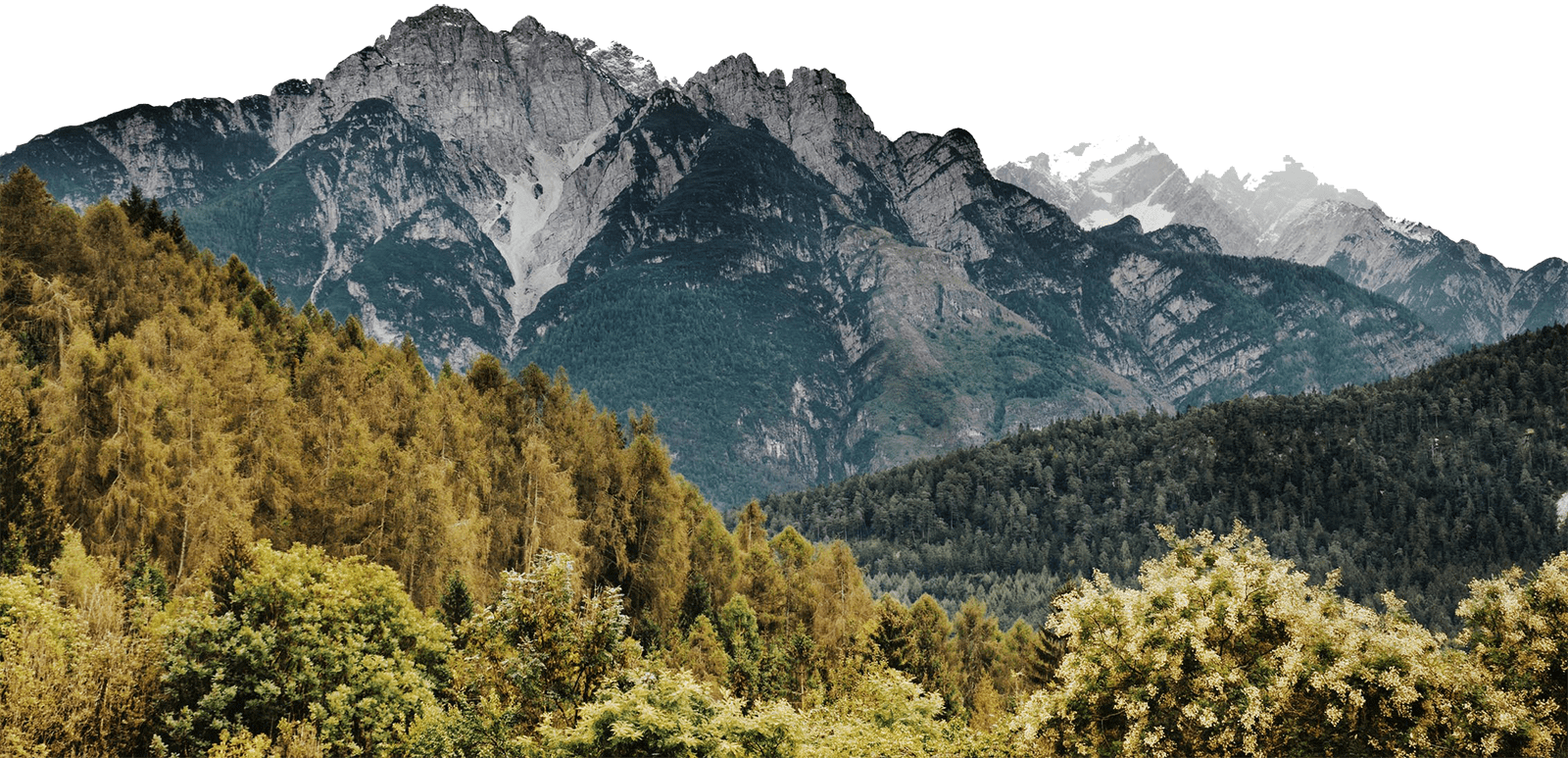 Panoramaaufnahme eines bewaldeten Tals vor einer imposanten Alpen-Bergkulisse.