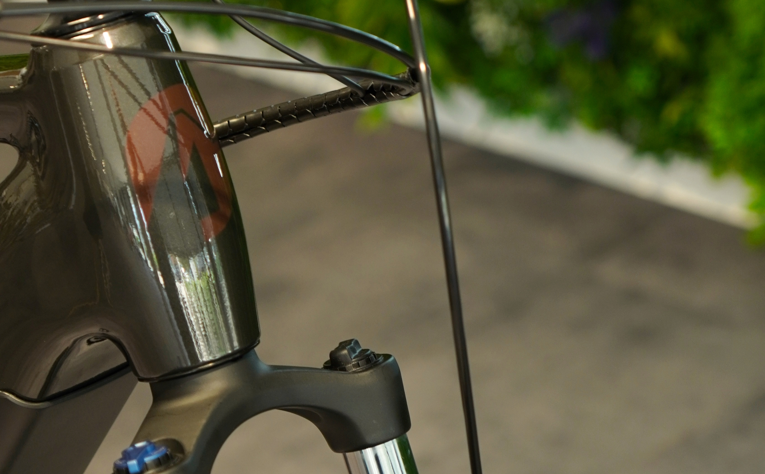 LIQRock E-MTB Bosch Performance Line CX 750Wh LIQRock E-MTB Bosch Performance Line CX 750Wh Diamant Details